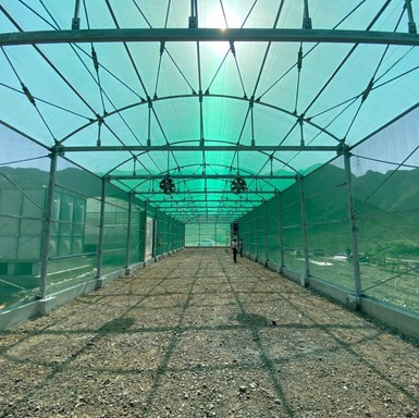 Agricultural Greenhouse Cooling